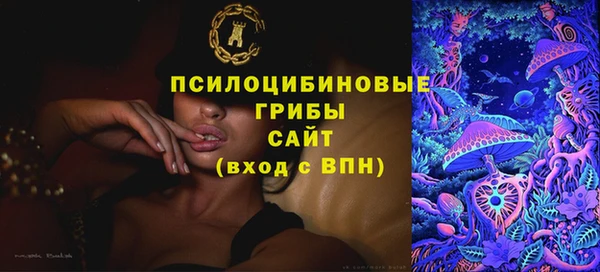 прущий лед Краснослободск