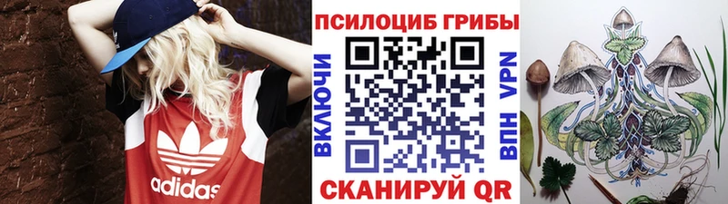 купить  сайты  Ковров  Галлюциногенные грибы мухоморы 