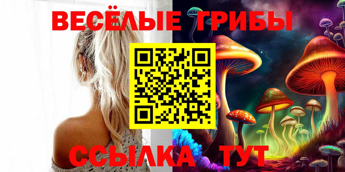 Ковров  Галлюциногенные грибы Cubensis  дарнет шоп  Вход с VPN 